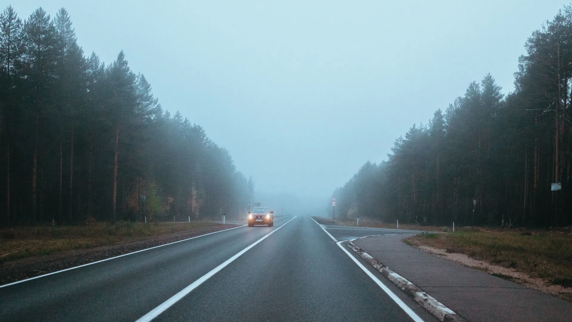 Nebelstraße durch einen Wald, in der Ferne die Scheinwerfer eines Autos